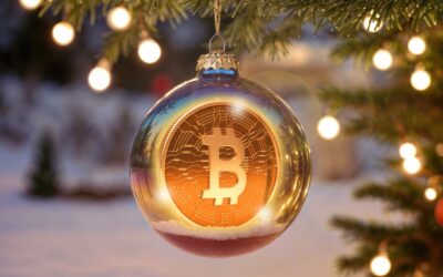 Have a bitcoin-obsessed brother-in-law? Here’s what to tell him this Christmas.