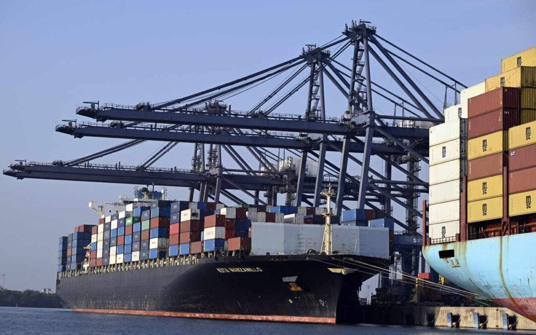 Not just the taco trade — why stocks should be resilient to tariff news, says Morgan Stanley