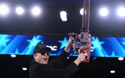 Elon Musk takes us for fools as he renews his verbal assault on Trump