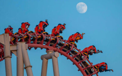 Stay buckled up, the market ride is going to get wilder still, says this strategist