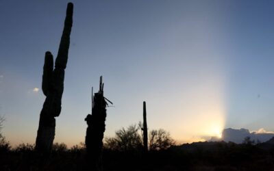 This Republican state misses out on $2.1 billion a year under Trump’s big bill