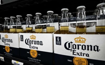 Constellation Brands says ‘socioeconomic headwinds’ are hurting beer sales, amid immigration crackdown